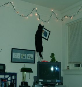 playing with the lights